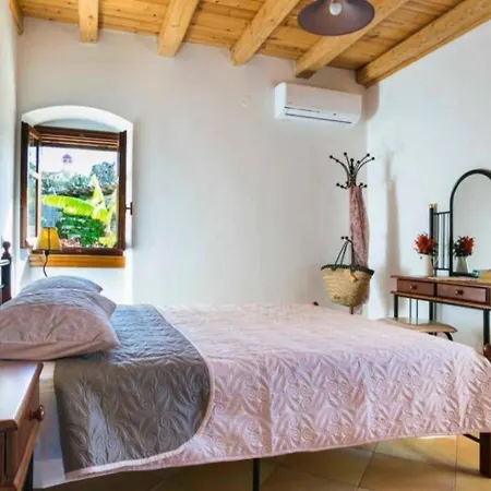 1841 Petrino فيلة *