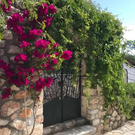 1841 Petrino فيلة