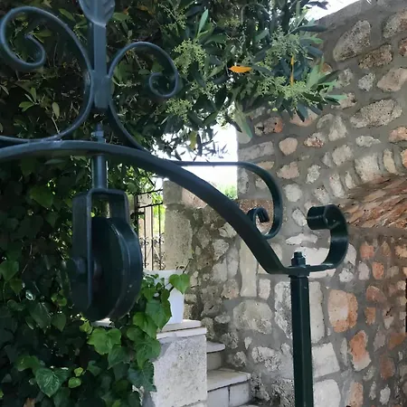 فيلة 1841 Petrino *